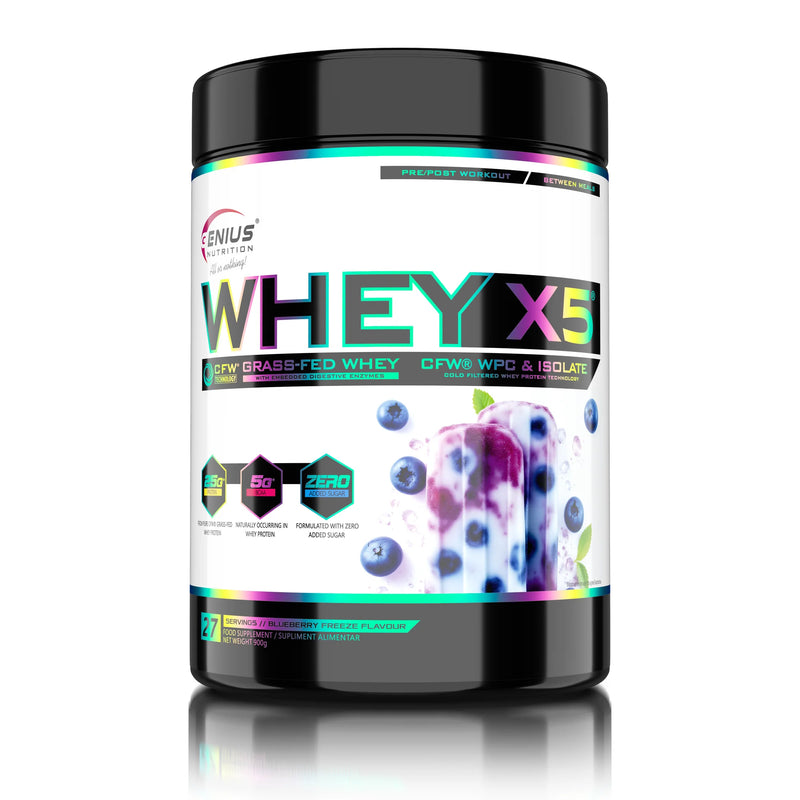 WHEY-X5 900g/28serv