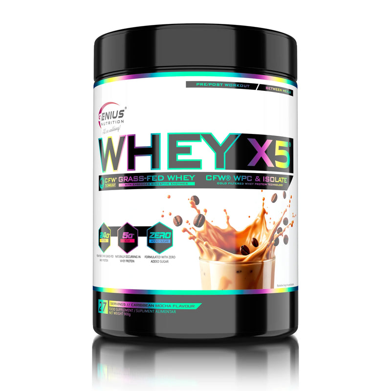 WHEY-X5 900g/28serv